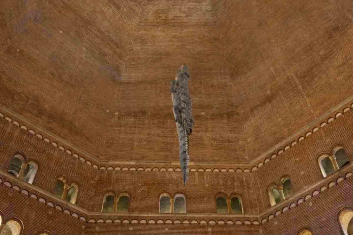 coccodrillo opera d'arte cattelan non accolta bene