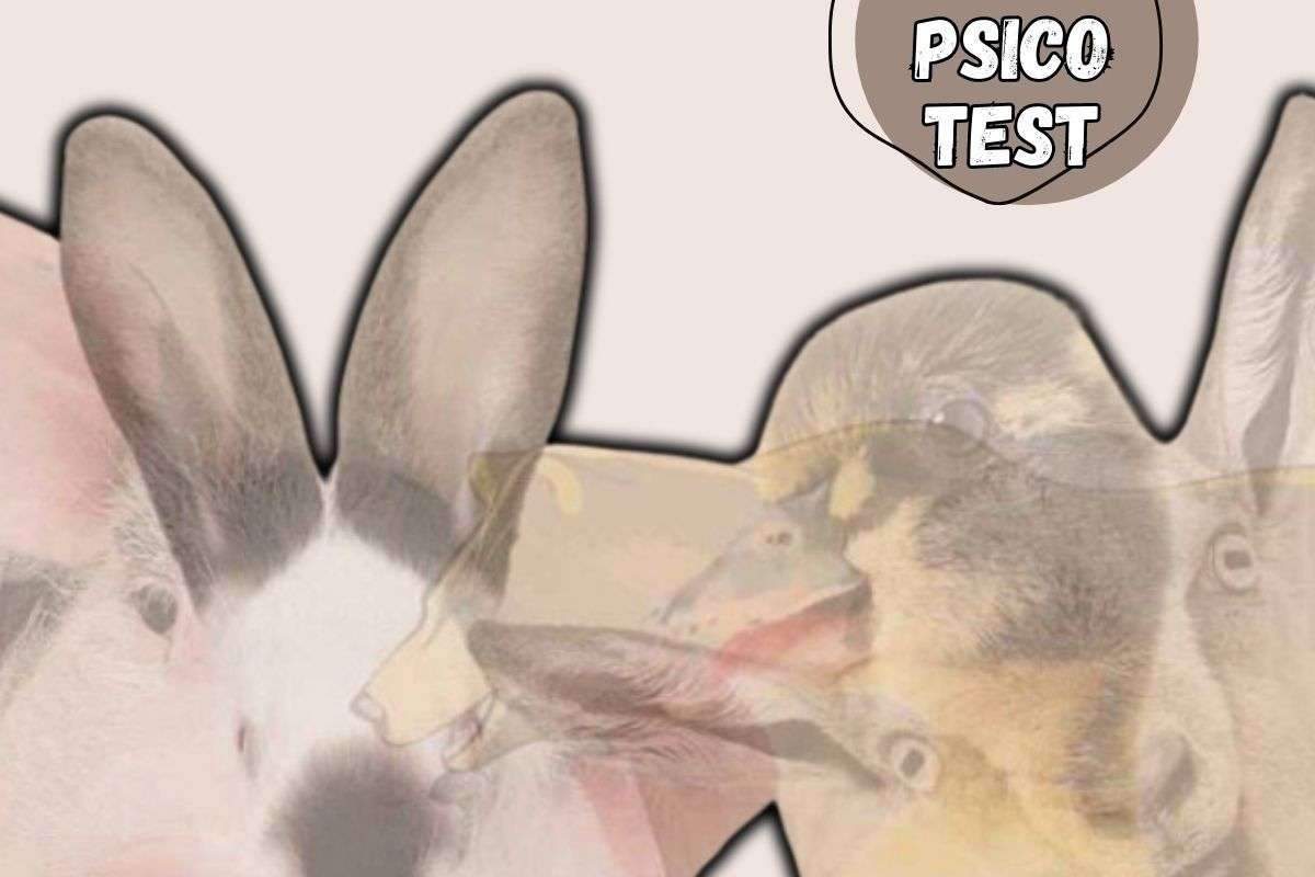 test animali personalità
