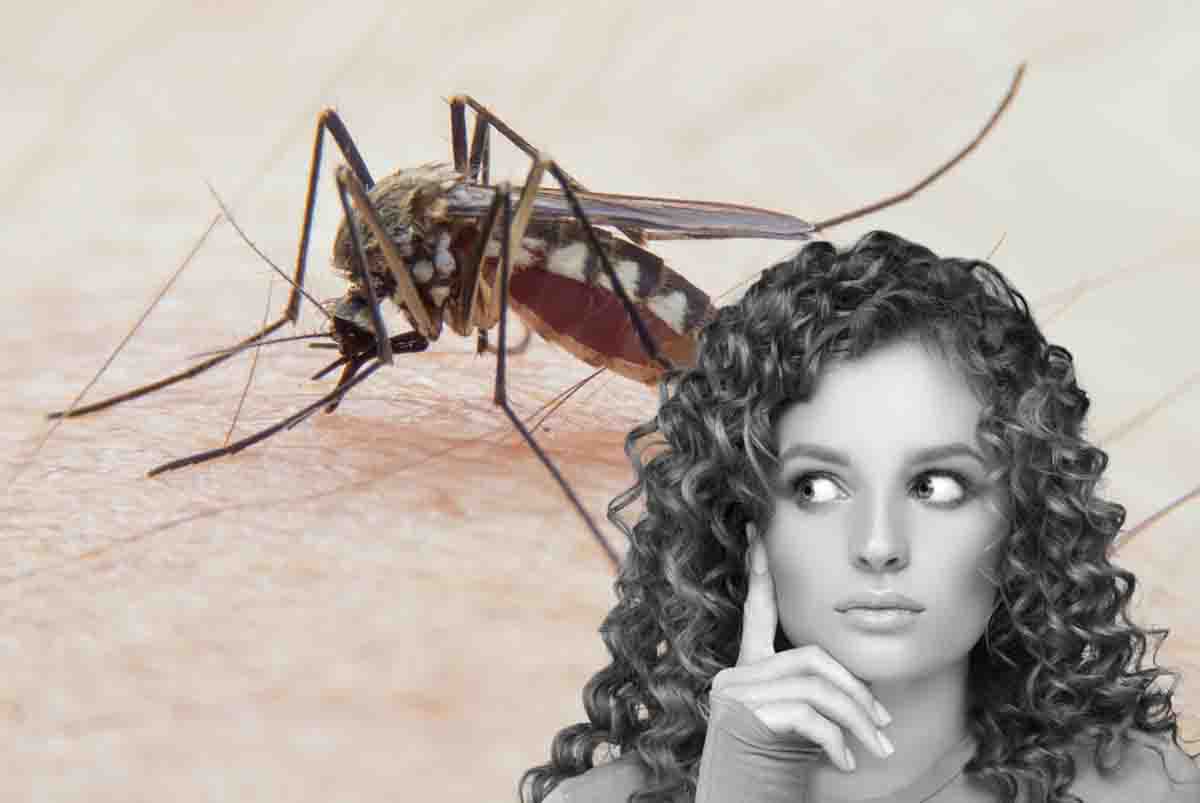 l'importanza delle zanzare
