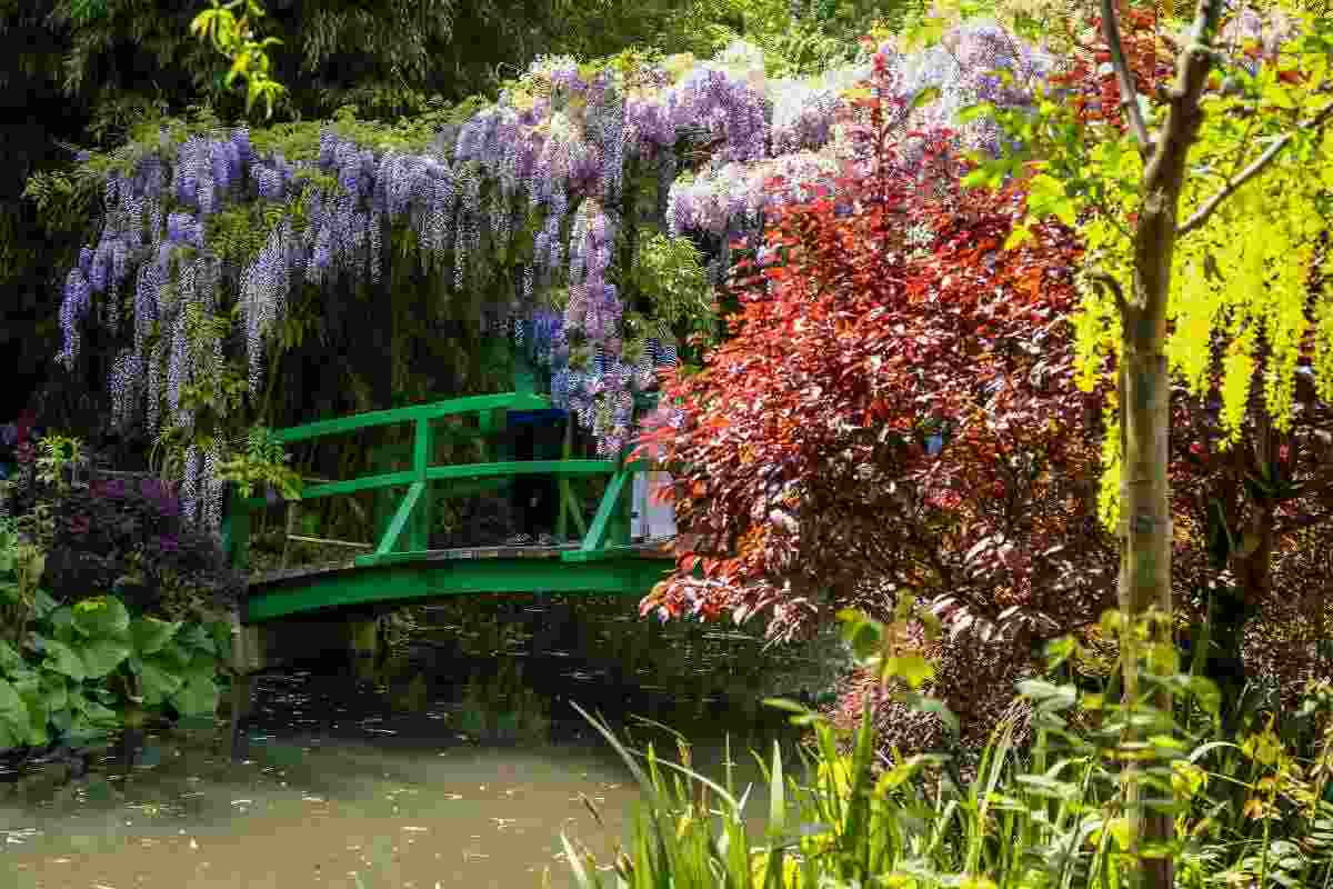 Cinque giardini botanici più belli al mondo