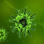 Un nuovo virus potrebbe arrivare presto