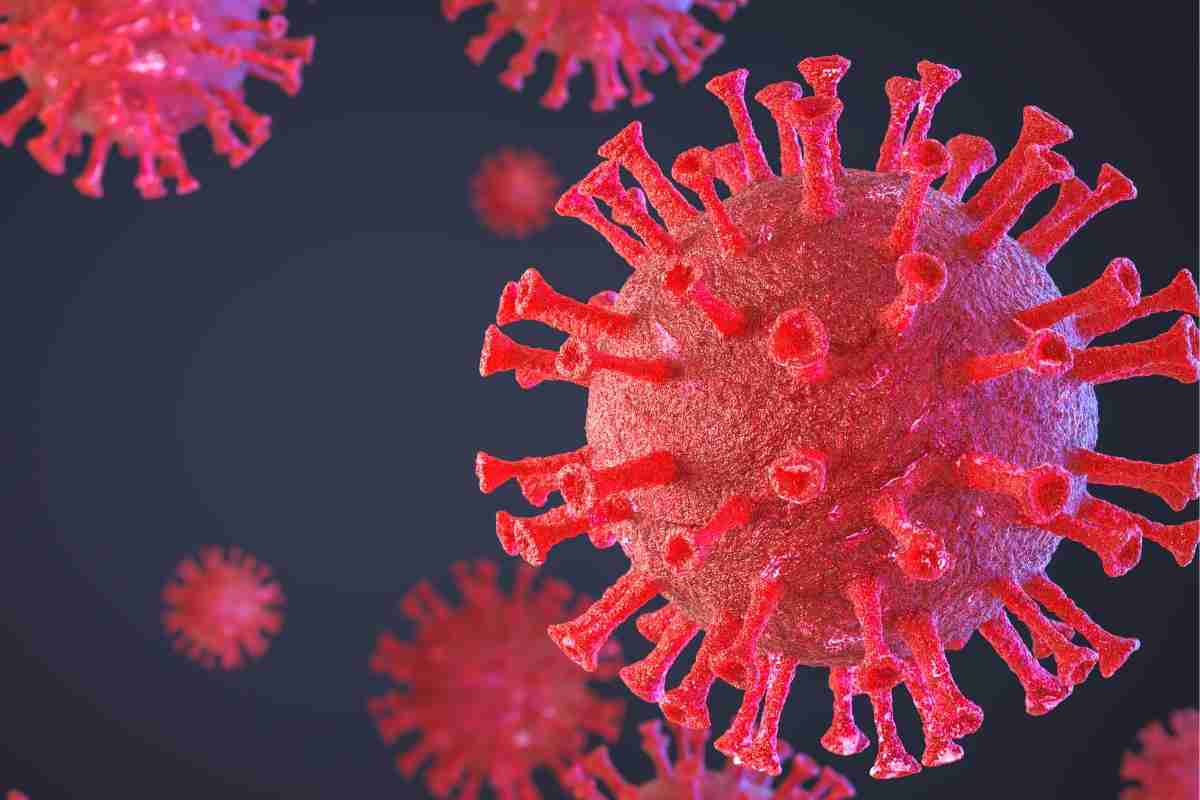virus, previsioni nuovi contagi