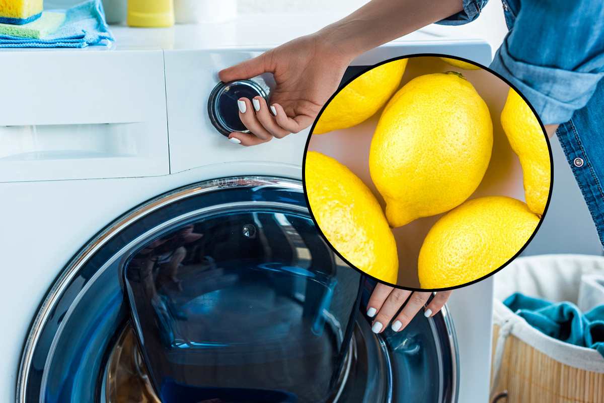 Limoni in lavatrice
