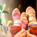 Riscaldare casa in modo ecologico