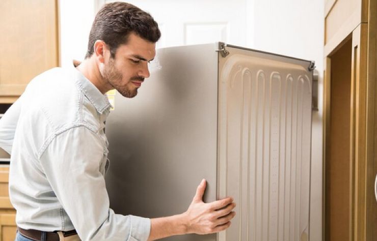 Calamite sul frigo, eliminale immediatamente: gli esperti svelano una  verità allarmante - La furia umana