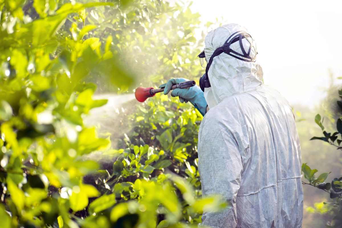 cibi pieni di pesticidi