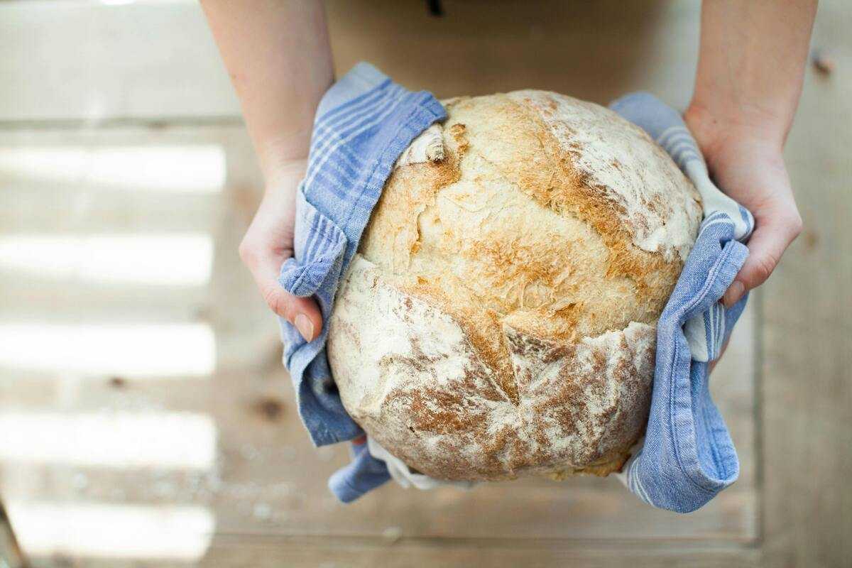 Pane