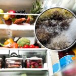 Muffa nel frigo