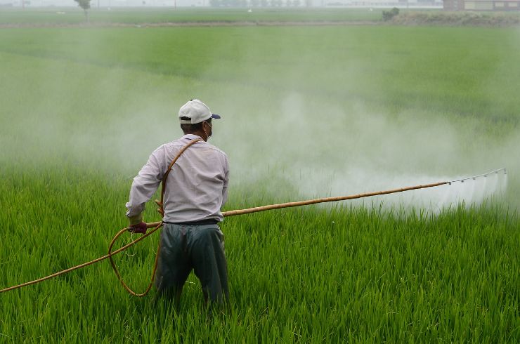 Pesticidi sui cereali