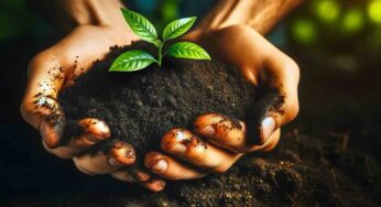 Dove si butta la terra vecchia delle piante? Ti propongo questa alternativa per non prendere la multa